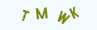 验证码
